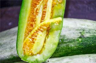 去哪里吃网红瓜,一网打尽美食之旅