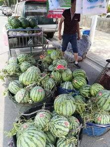 长沙网红吃瓜事件