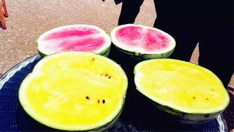 吃瓜网红吃瓜爆料,揭秘娱乐圈幕后真相